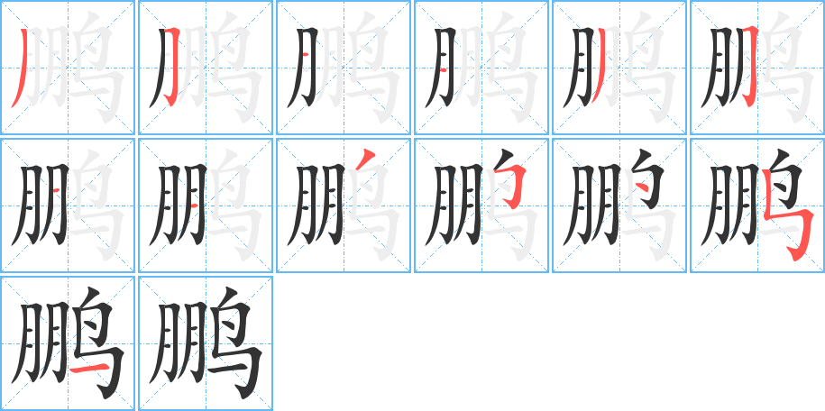 鹏字笔顺怎么写