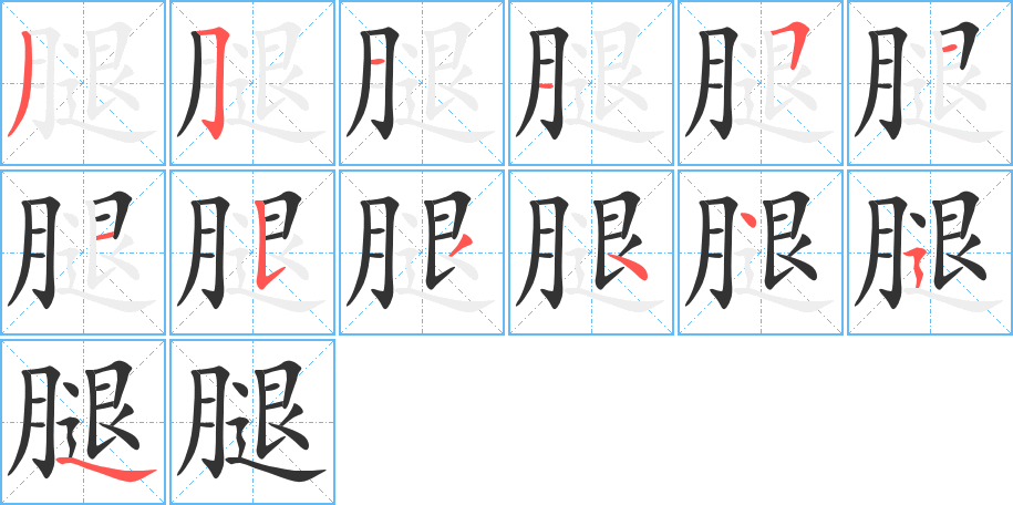 腿字笔顺怎么写