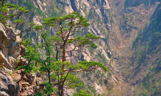 富川有哪些景点值得去（富川有哪些景点值得去的地方）