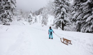 雪天拍照的景点有哪些（适合下雪天拍的照片）