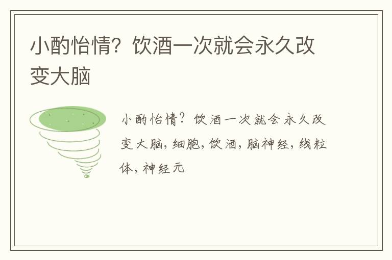 小酌怡情？饮酒一次就会永久改变大脑