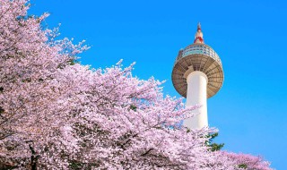 韩国著名景点有哪些（韩国十大景点介绍）