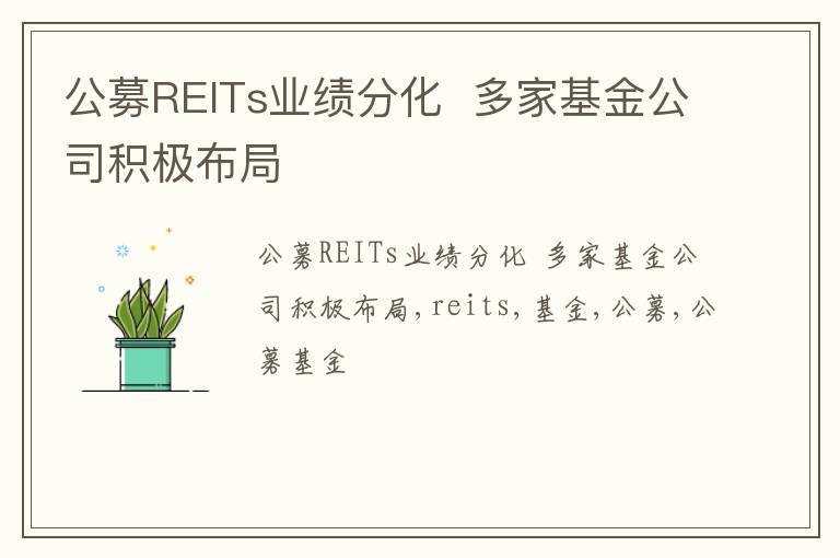 公募REITs业绩分化  多家基金公司积极布局