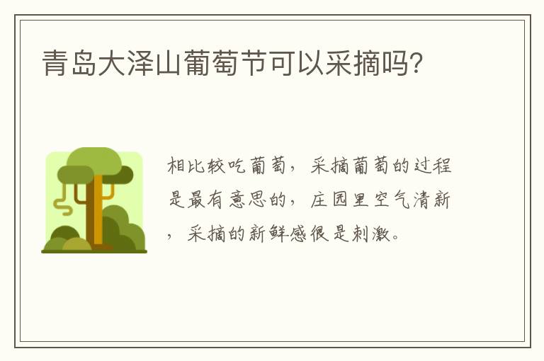 青岛大泽山葡萄节可以采摘吗？