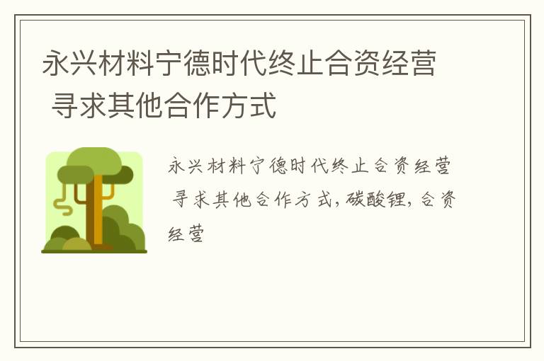 永兴材料宁德时代终止合资经营 寻求其他合作方式