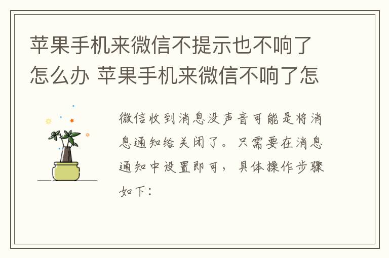 苹果手机来微信不提示也不响了怎么办 苹果手机来微信不响了怎么回事