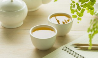 金线莲茶什么季节喝好（金线莲什么季节喝最好）