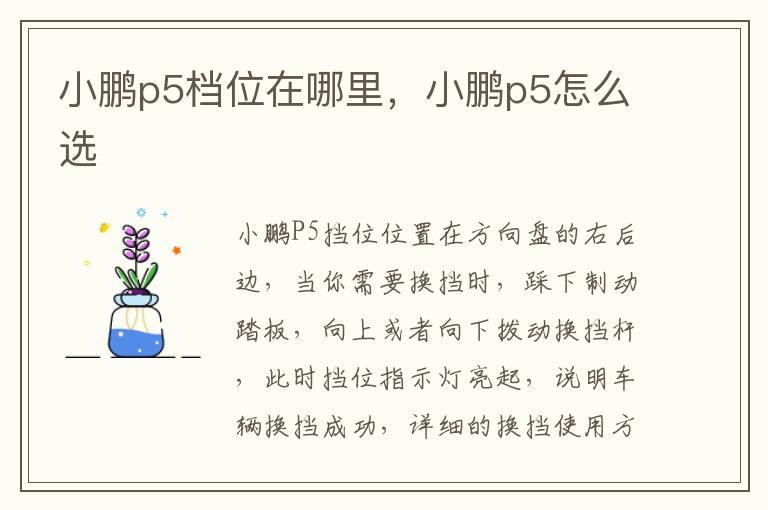 小鹏p5档位在哪里，小鹏p5怎么选