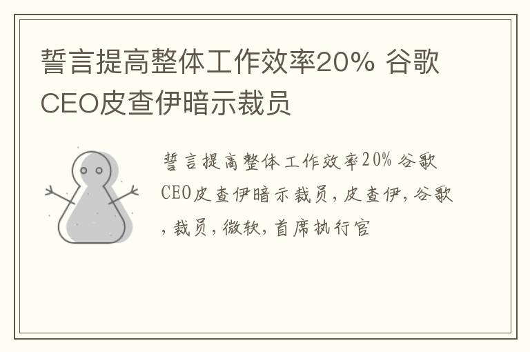 誓言提高整体工作效率20% 谷歌CEO皮查伊暗示裁员