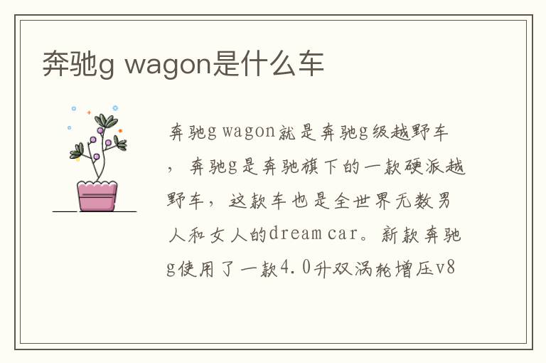 奔驰g wagon是什么车