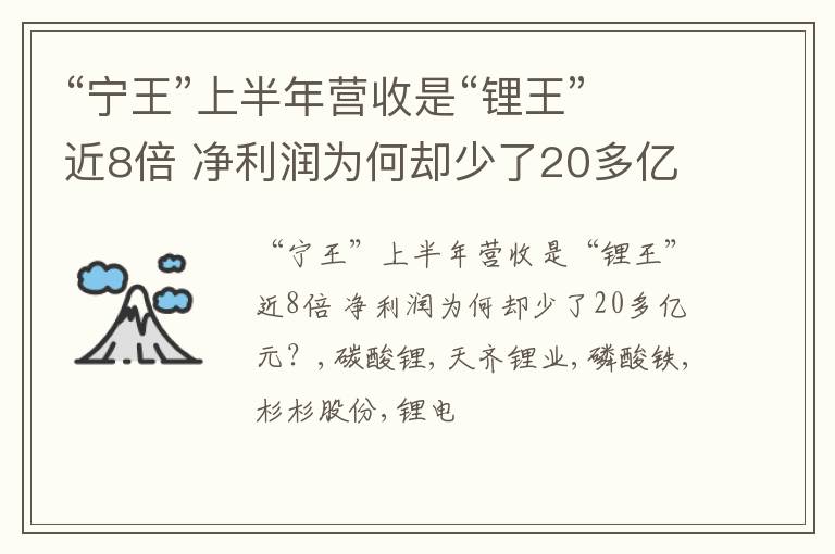 “宁王”上半年营收是“锂王”近8倍 净利润为何却少了20多亿元？