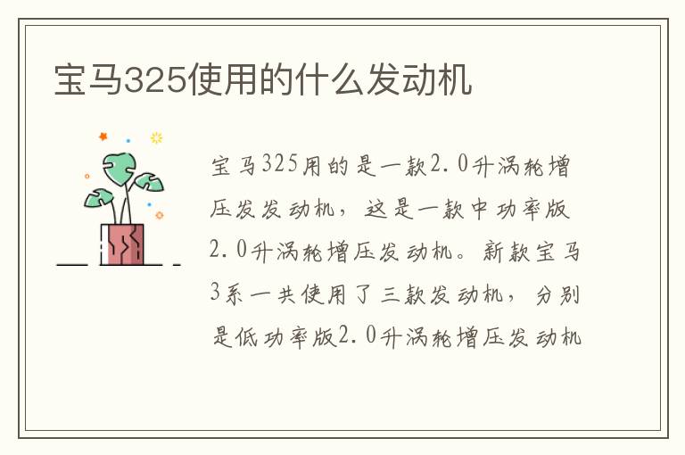 宝马325使用的什么发动机