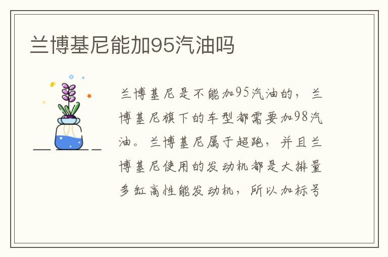 兰博基尼能加95汽油吗