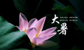 大暑节气介绍 大暑节气是什么意思