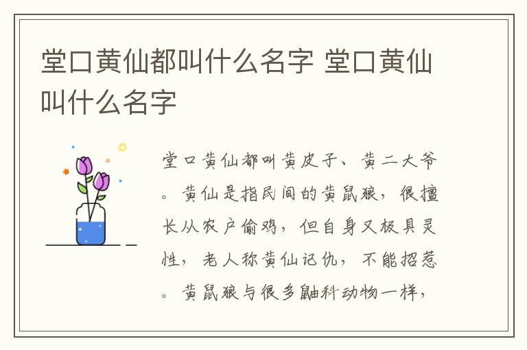 堂口黄仙都叫什么名字 堂口黄仙叫什么名字