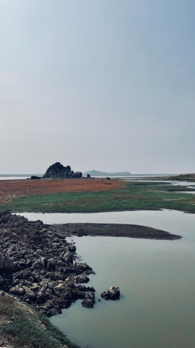 守住秋粮：一个鄱阳湖畔县城的抗旱样本