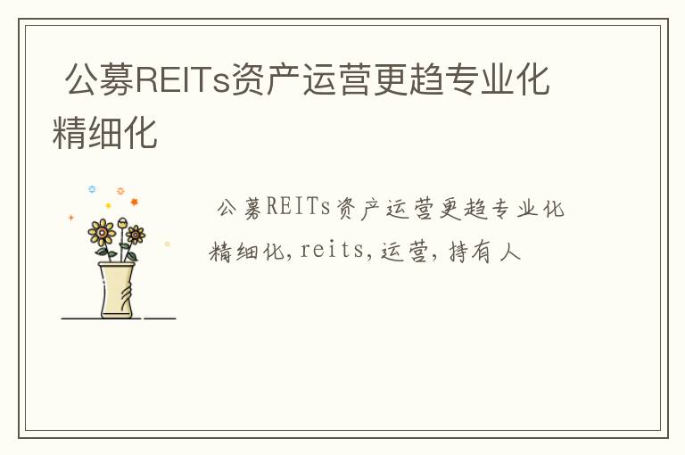 公募REITs资产运营更趋专业化精细化