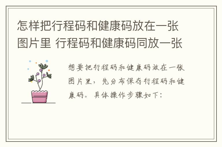 怎样把行程码和健康码放在一张图片里 行程码和健康码同放一张图