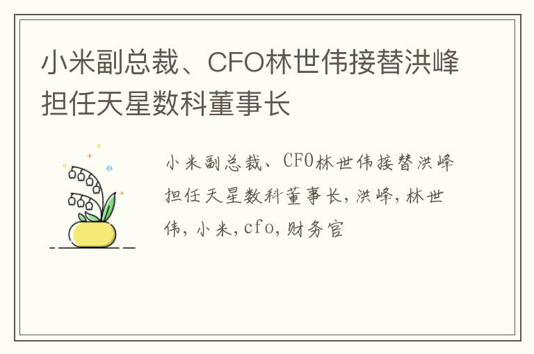 小米副总裁、CFO林世伟接替洪峰担任天星数科董事长