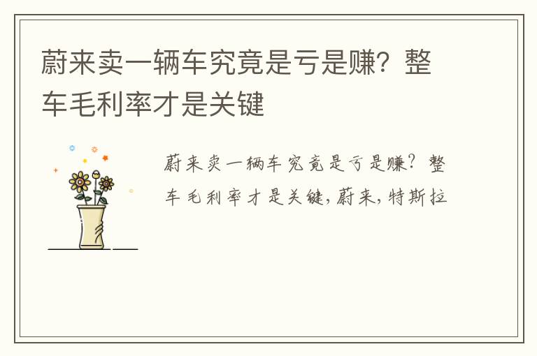 蔚来卖一辆车究竟是亏是赚？整车毛利率才是关键