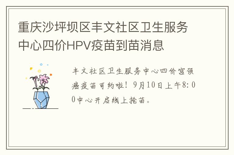 重庆沙坪坝区丰文社区卫生服务中心四价HPV疫苗到苗消息
