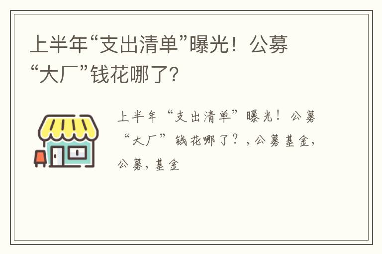 上半年“支出清单”曝光！公募“大厂”钱花哪了？