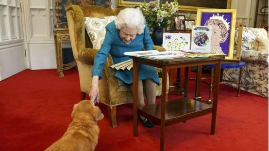 在位70年，英国女王伊丽莎白二世逝世，近百年传奇人生谢幕