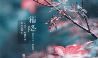 霜降节气吃什么