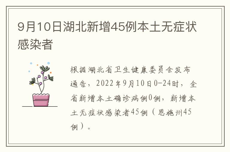 9月10日湖北新增45例本土无症状感染者