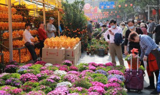 夏天插花怎么保鲜