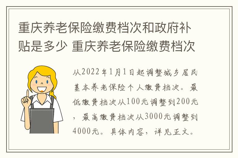 重庆养老保险缴费档次和政府补贴是多少