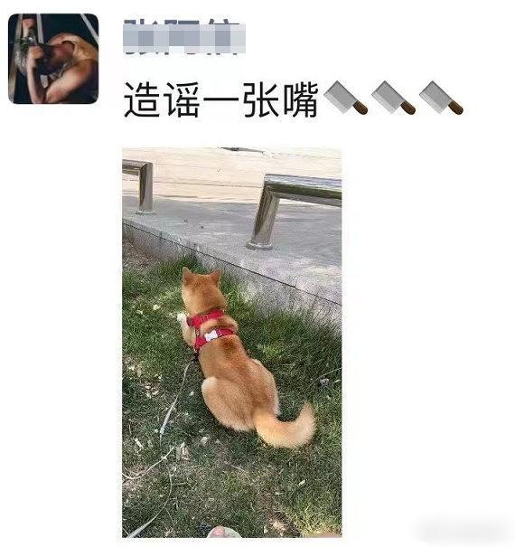 网传李易峰经纪人发朋友圈