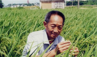 袁隆平是哪里人?什么身份?