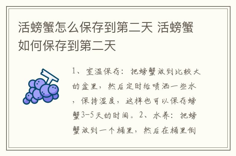 活螃蟹怎么保存到第二天