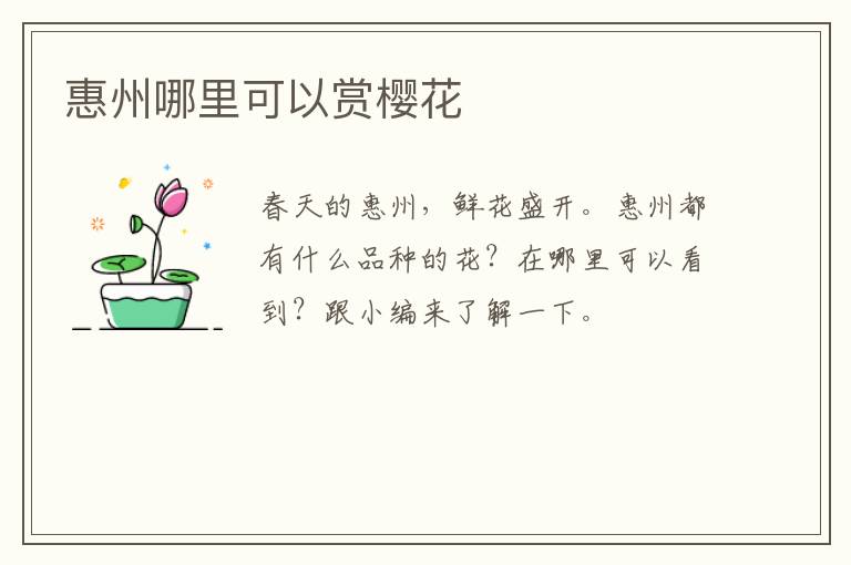 惠州哪里可以赏樱花