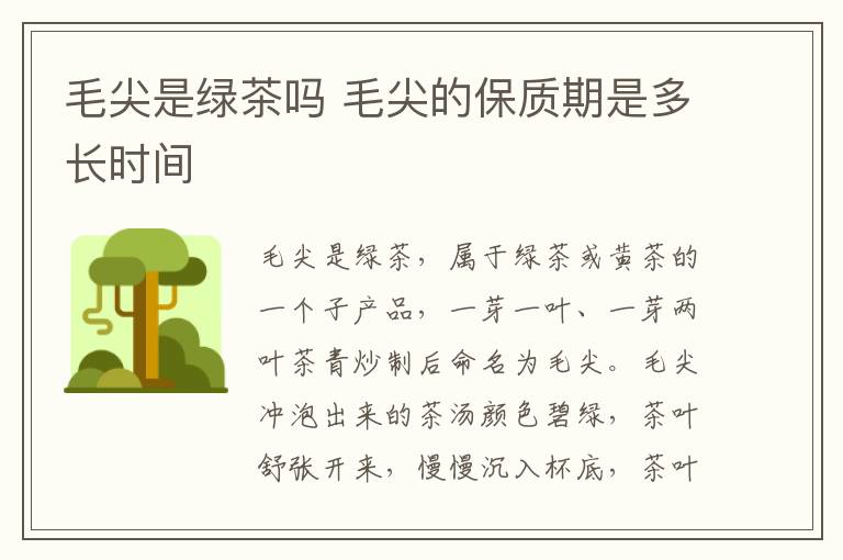 毛尖是绿茶吗 毛尖的保质期是多长时间