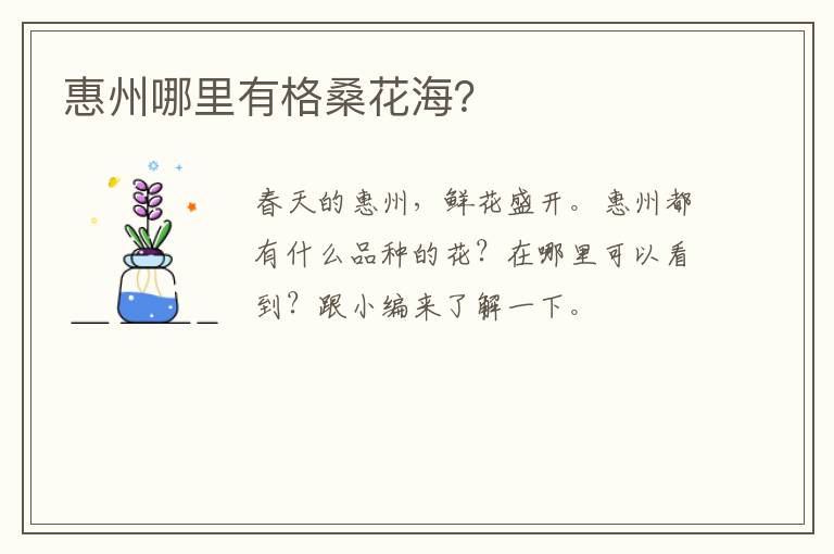 惠州哪里有格桑花海？