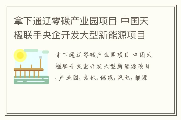 拿下通辽零碳产业园项目 中国天楹联手央企开发大型新能源项目