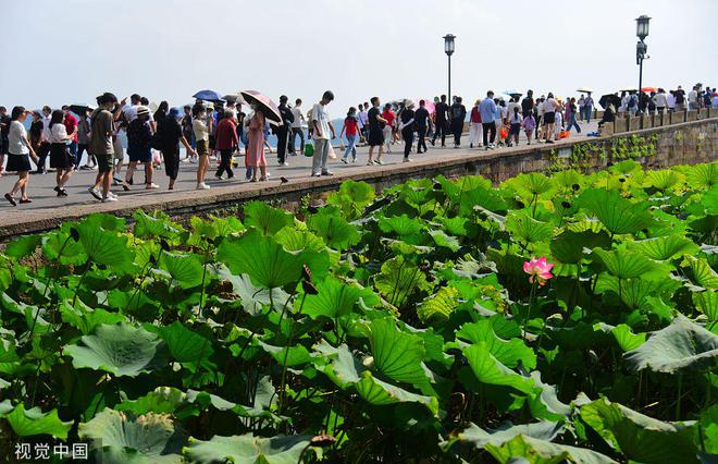 中秋旅游热度成今年小长假之最，部分网红民宿十一房源已售空