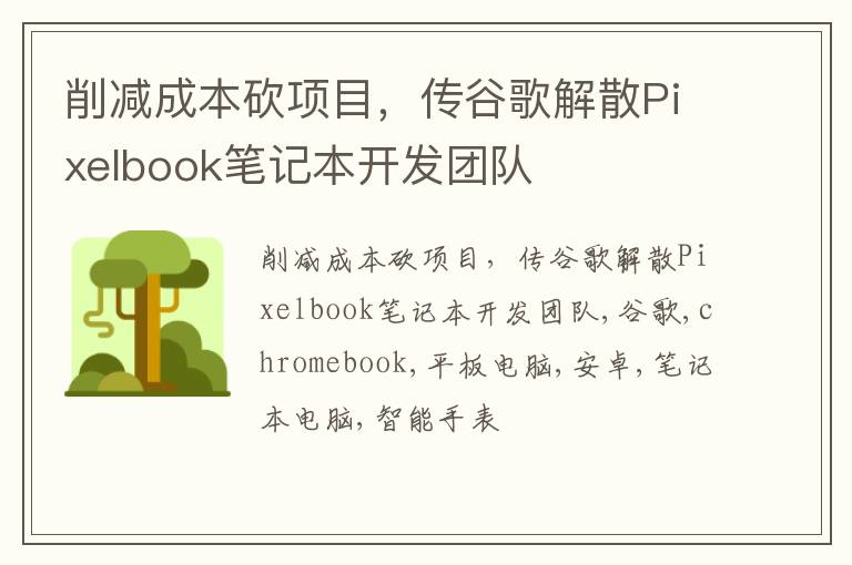 削减成本砍项目，传谷歌解散Pixelbook笔记本开发团队