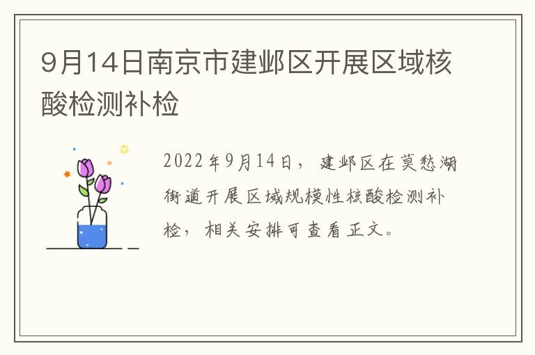 9月14日南京市建邺区开展区域核酸检测补检