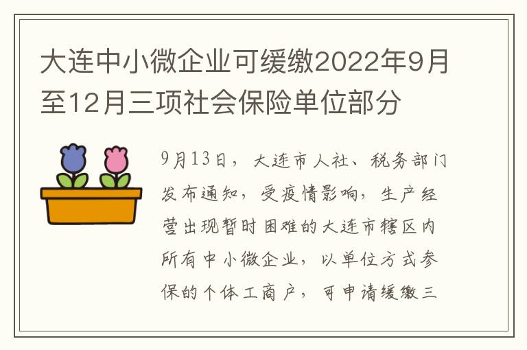 大连中小微企业可缓缴2022年9月至12月三项社会保险单位部分