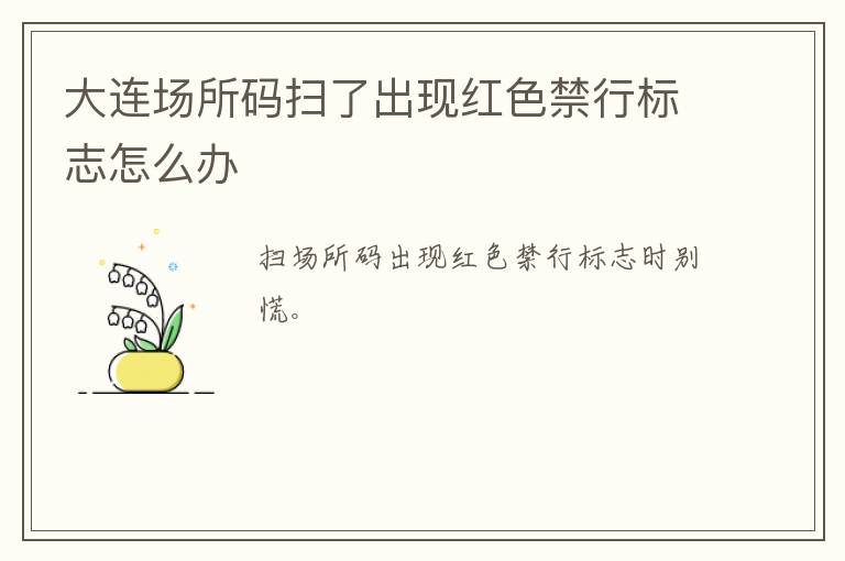 大连场所码扫了出现红色禁行标志怎么办