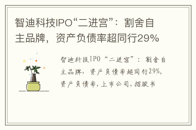 智迪科技IPO“二进宫”：割舍自主品牌，资产负债率超同行29%