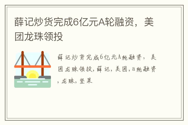 薛记炒货完成6亿元A轮融资，美团龙珠领投