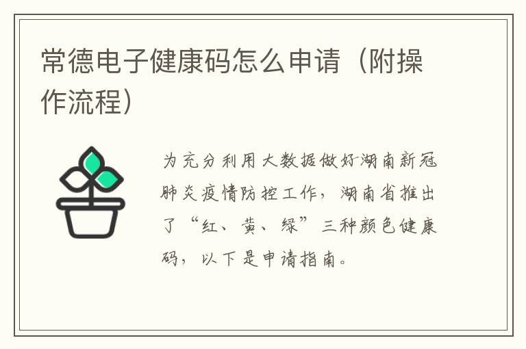 常德电子健康码怎么申请（附操作流程）