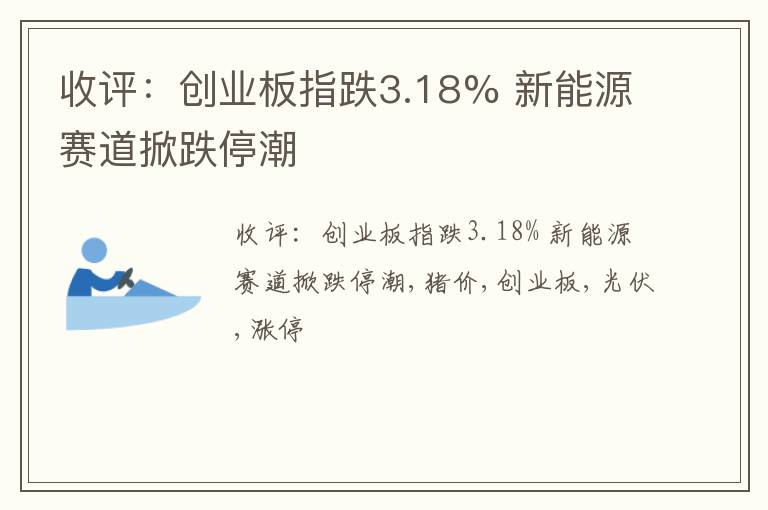 收评：创业板指跌3.18% 新能源赛道掀跌停潮