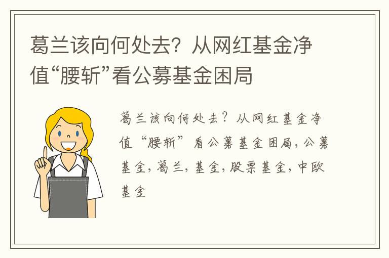 葛兰该向何处去？从网红基金净值“腰斩”看公募基金困局