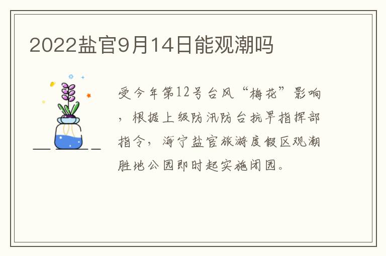 2022盐官9月14日能观潮吗