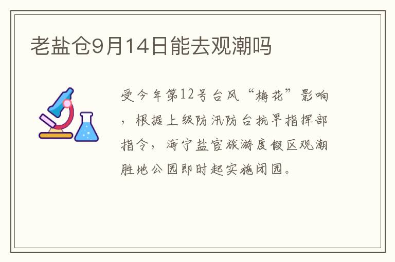 老盐仓9月14日能去观潮吗